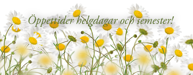 Öppettider helgdagar och semester