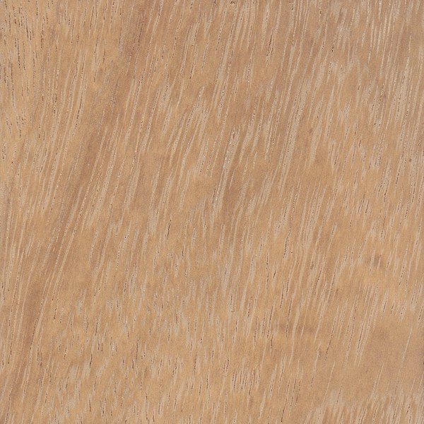 Massivträ Iroko Massivträ Iroko